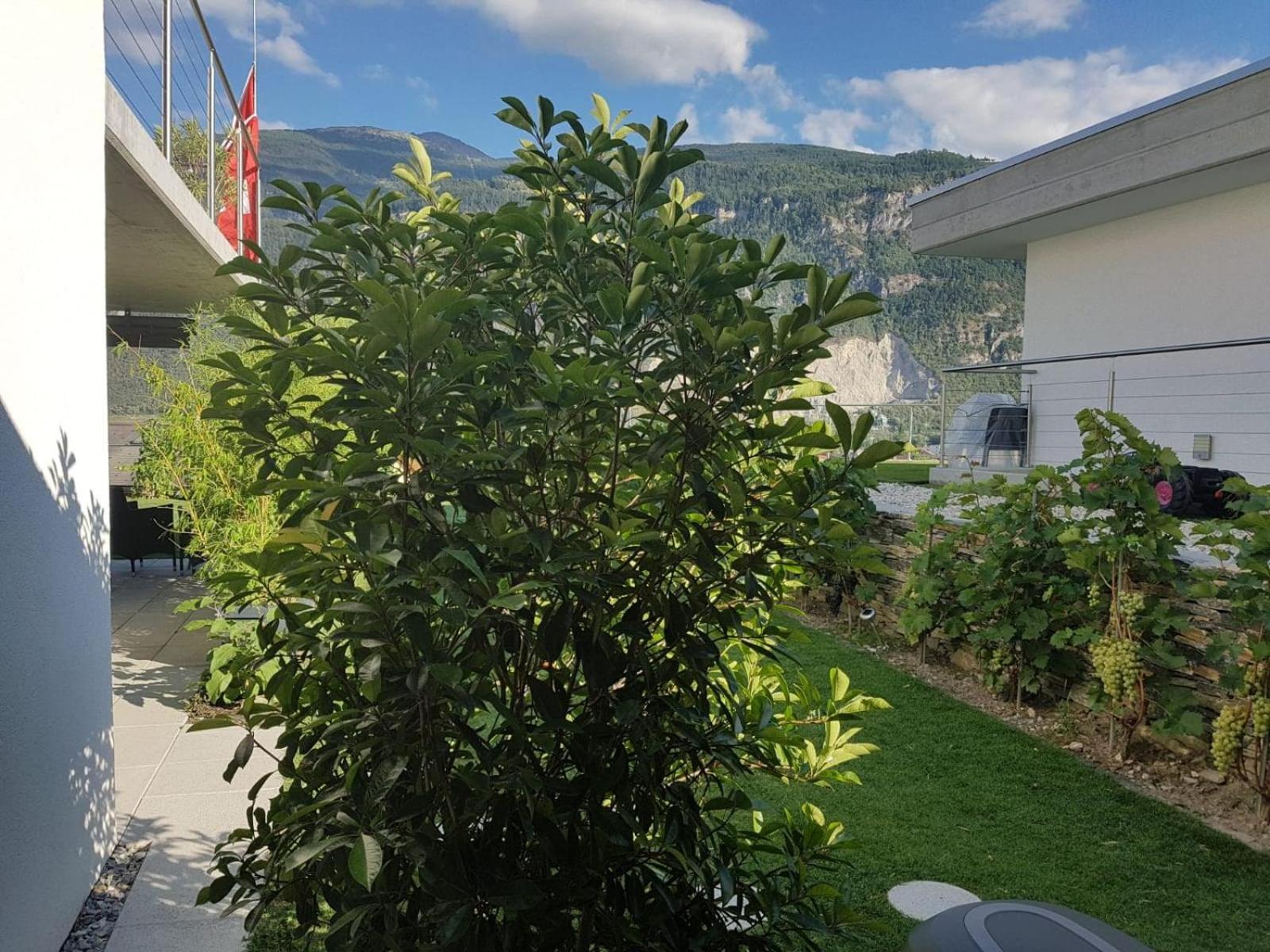 Guesthouse Petit Pre Saint-Leonard Ruang foto